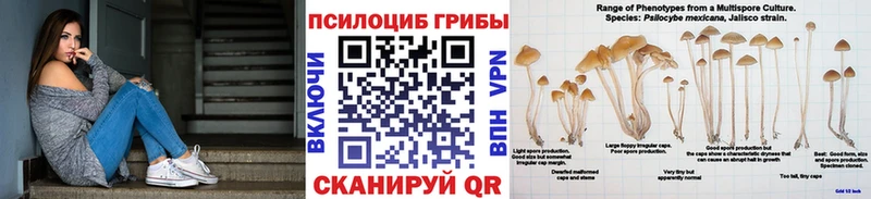 Галлюциногенные грибы мицелий  Меленки 